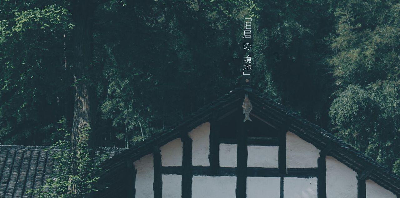 彩丽公主日常装扮